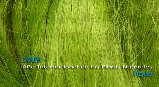 2009-Internacional-de-las-fibras-naturales